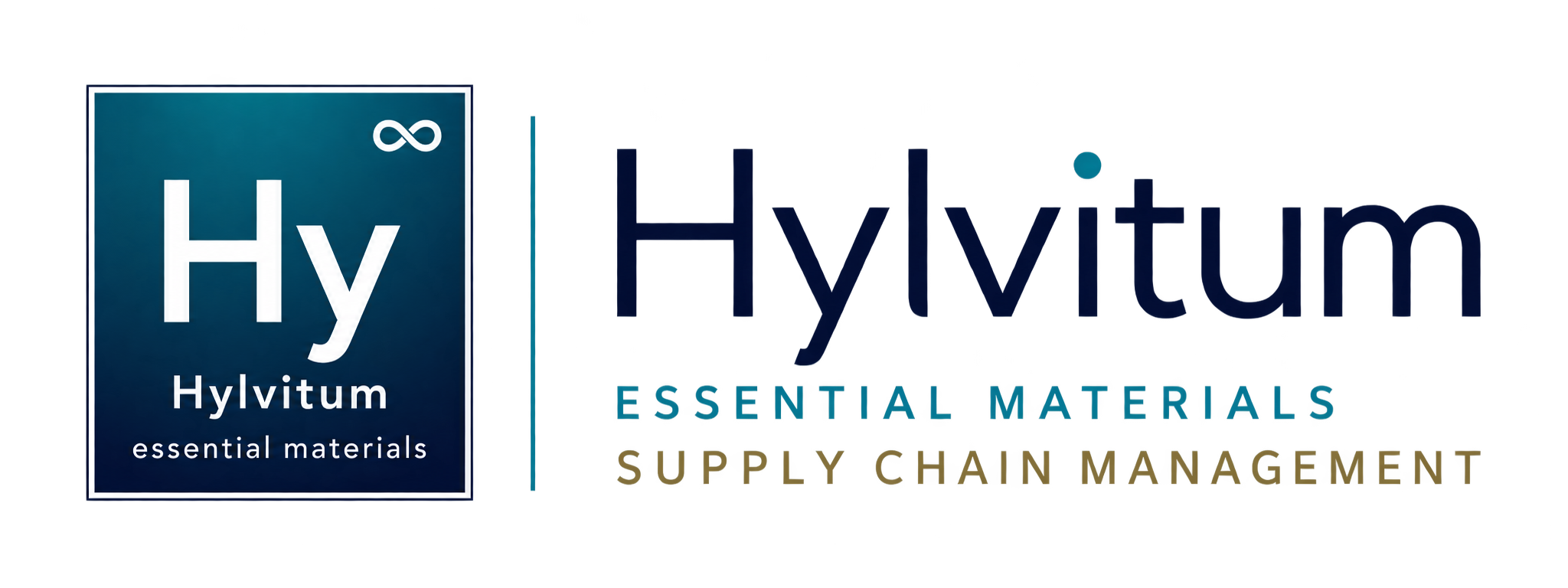 Hylvitum Logo